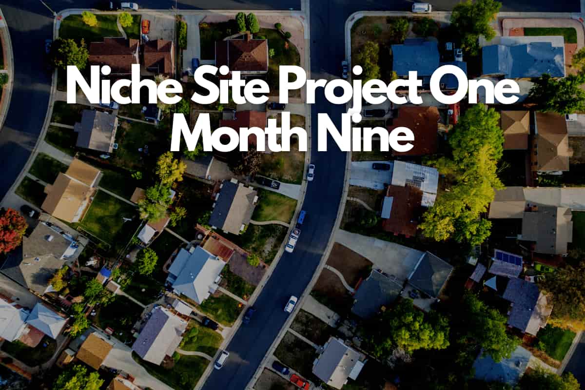 niche site project one - month nine income report