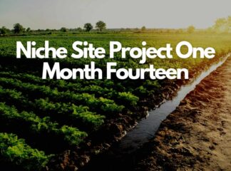Niche Site Project One Month Fourteen