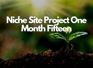 Niche Site Project One Month Fifteen