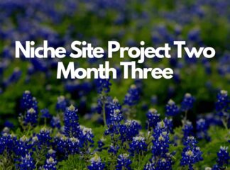 Niche Site Project Two Month Three