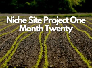 Niche Site Project One Month Twenty