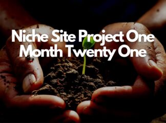 Niche Site Project One Month Twenty One