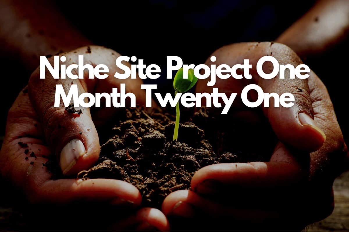 Niche Site Project One Month Twenty One