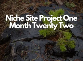 Niche Site Project One Month Twenty Two